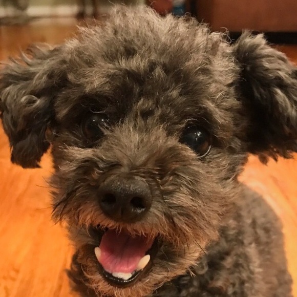 Meet your Posher, Luke - Picture 1 of 1